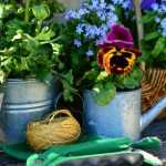 Every Season Its Gardening