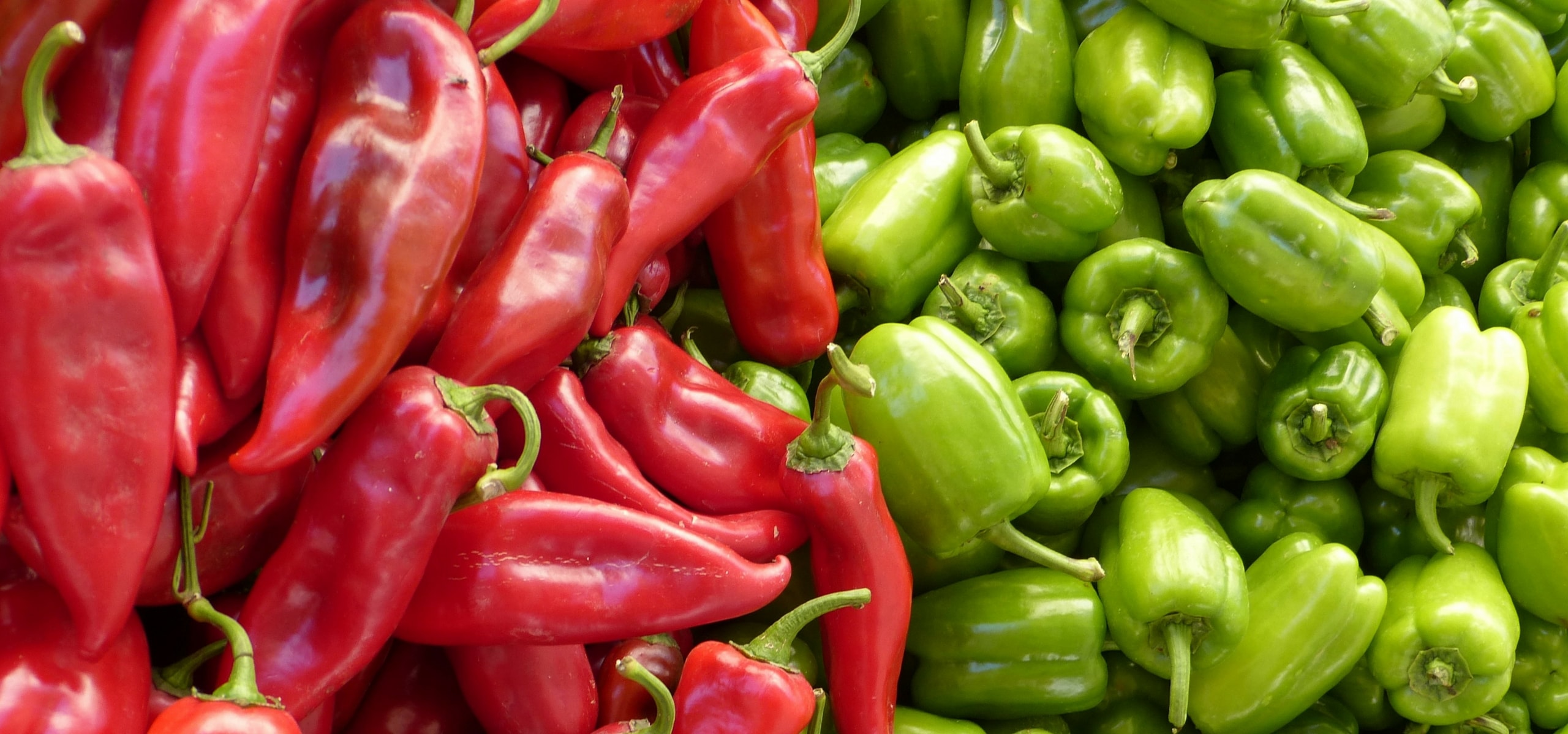 Growing Chillies and Peppers Successfully