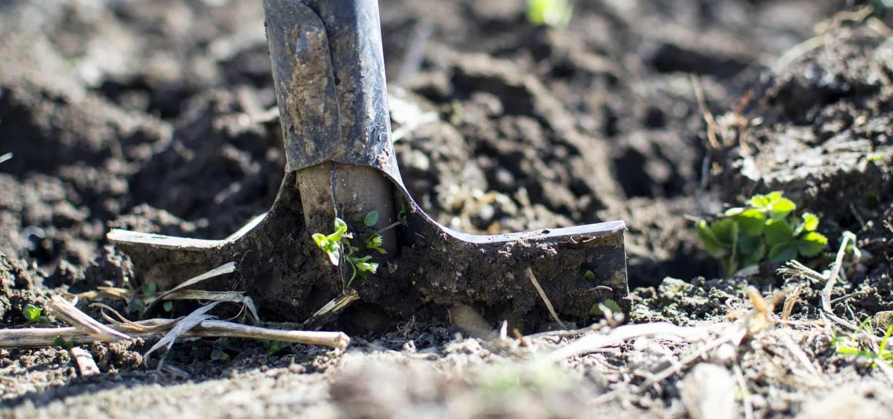 Feeding the Soil Naturally