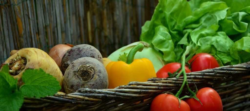 Preserving vegetables from the kitchen garden