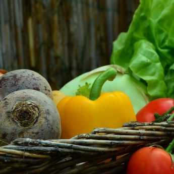 Preserving vegetables from the kitchen garden