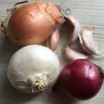 Garlic, onion, shallot… February in the vegetable patch!