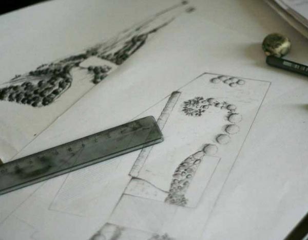 Ten landscaping tips for designing your garden