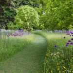 Maintenance-free garden: tips, tricks, and suitable plants