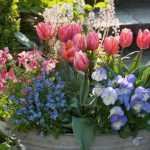 Spring planters: assemble them in September/October... thank us in March!