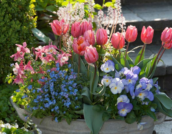 Spring planters: assemble them in September/October... thank us in March!