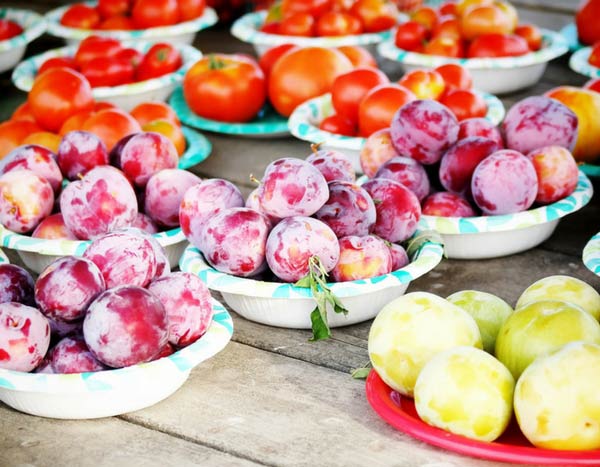 What to do with surplus harvests from the vegetable garden?