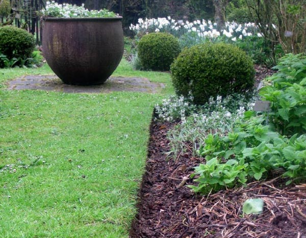Pruning borders: more of a chore than effective