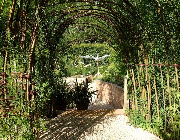 Living willow weaving: hedge, hut...
