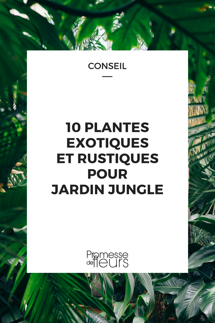 Jungle Garden: 10 Exotic but Hardy Plants