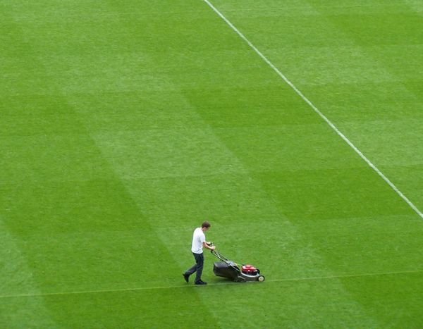 How to choose the right lawn mower