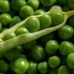 Peas and petit pois: sow, to grow, harvest in vegetable garden