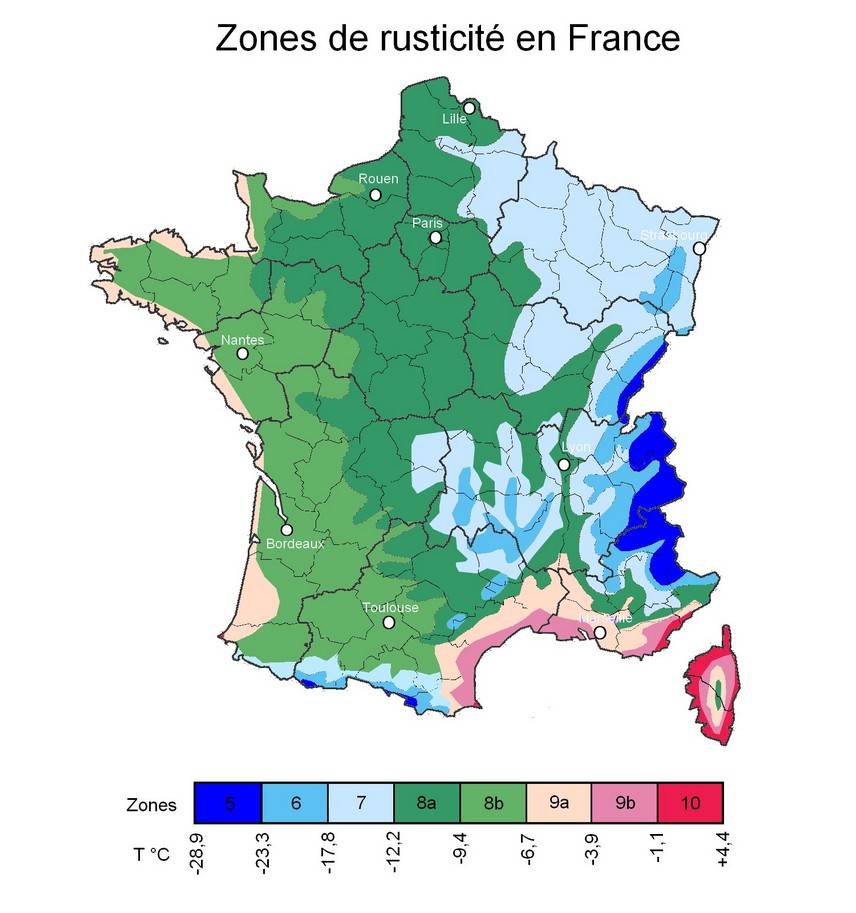 Hardiness in France