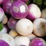 Turnip: sowing, cultivation, maintenance