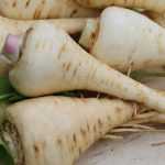 Parsnip : to sow, to grow, to harvest, to store