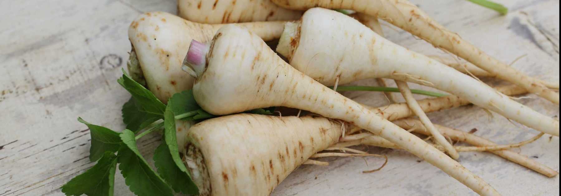 Parsnip : to sow, to grow, to harvest, to store