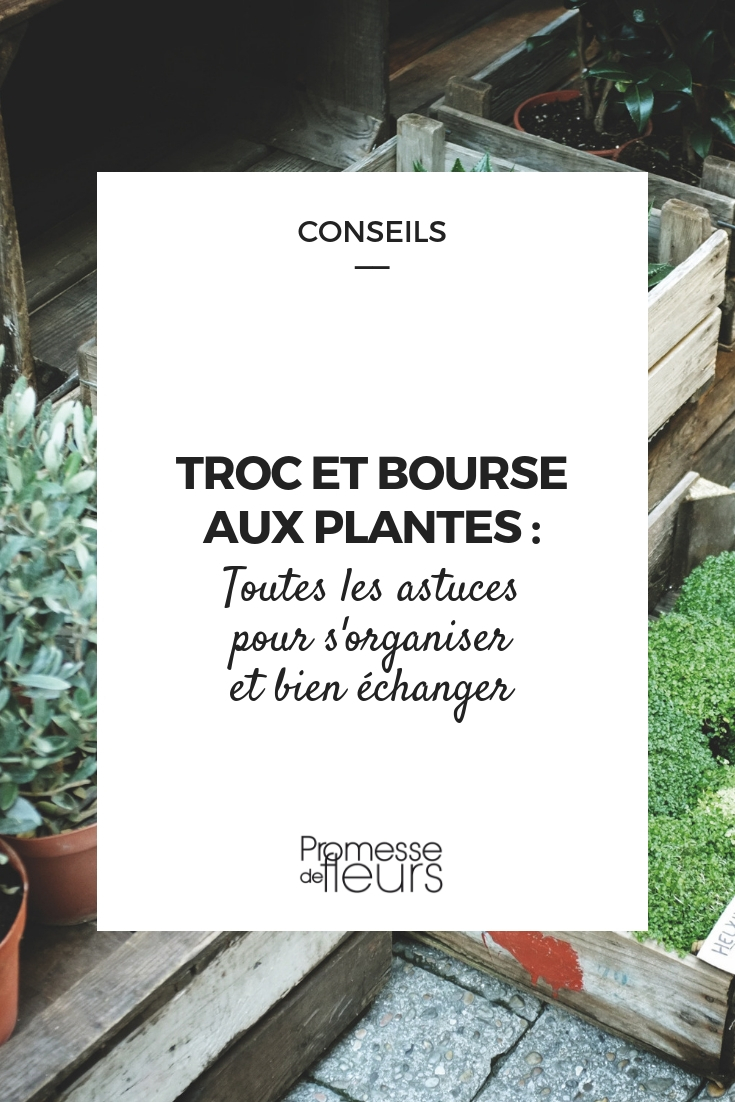 plant swaps Plant Swaps and Plant Exchanges: How to Organise for Successful Trading