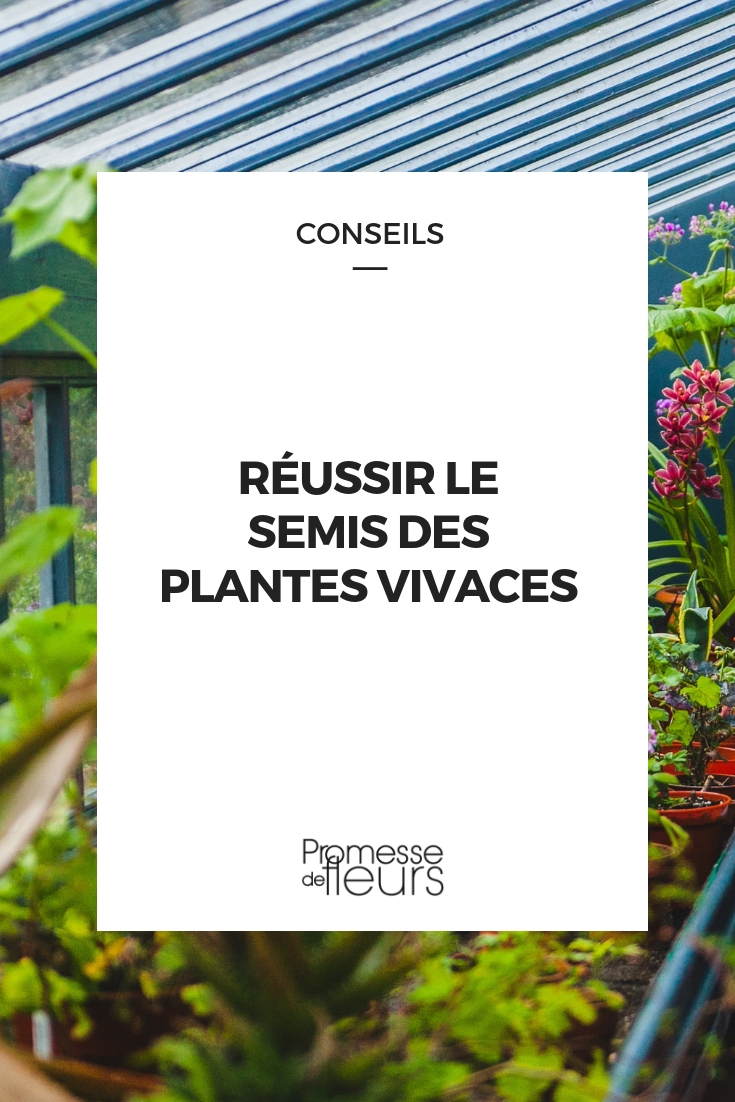 Sowing Perennial Plants