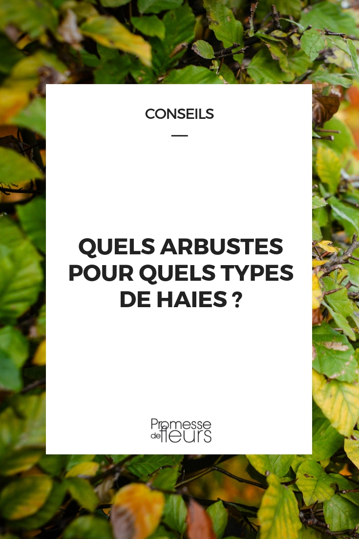 Which Bushes for Which Types of Hedges? Bushes by Types of Hedges
