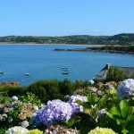 Coastal garden design