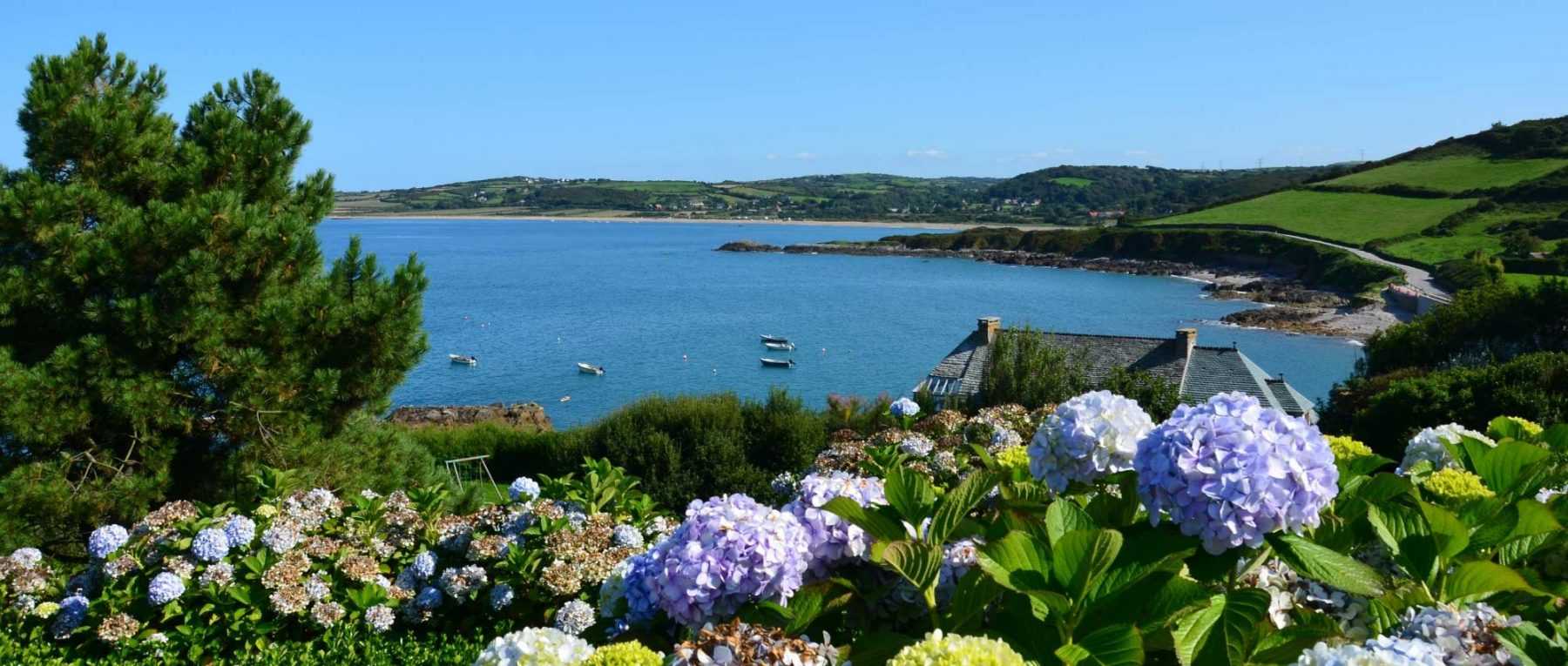 Coastal garden design