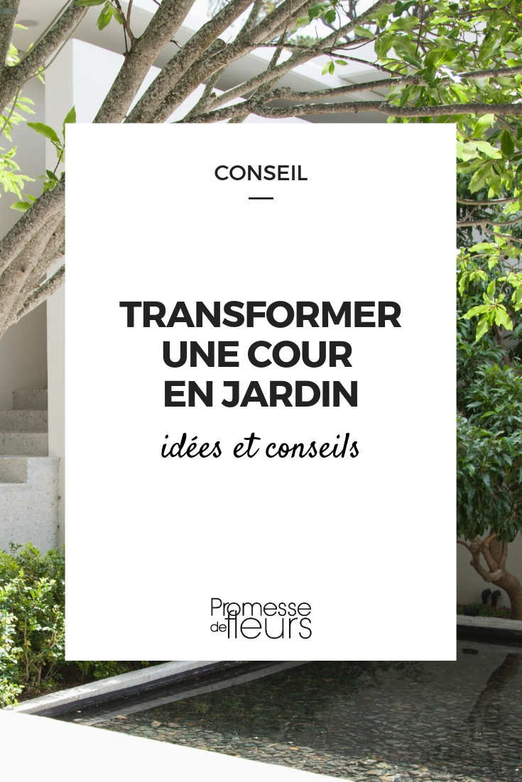 Transforming a Courtyard into a Garden Turning a Courtyard into a Garden