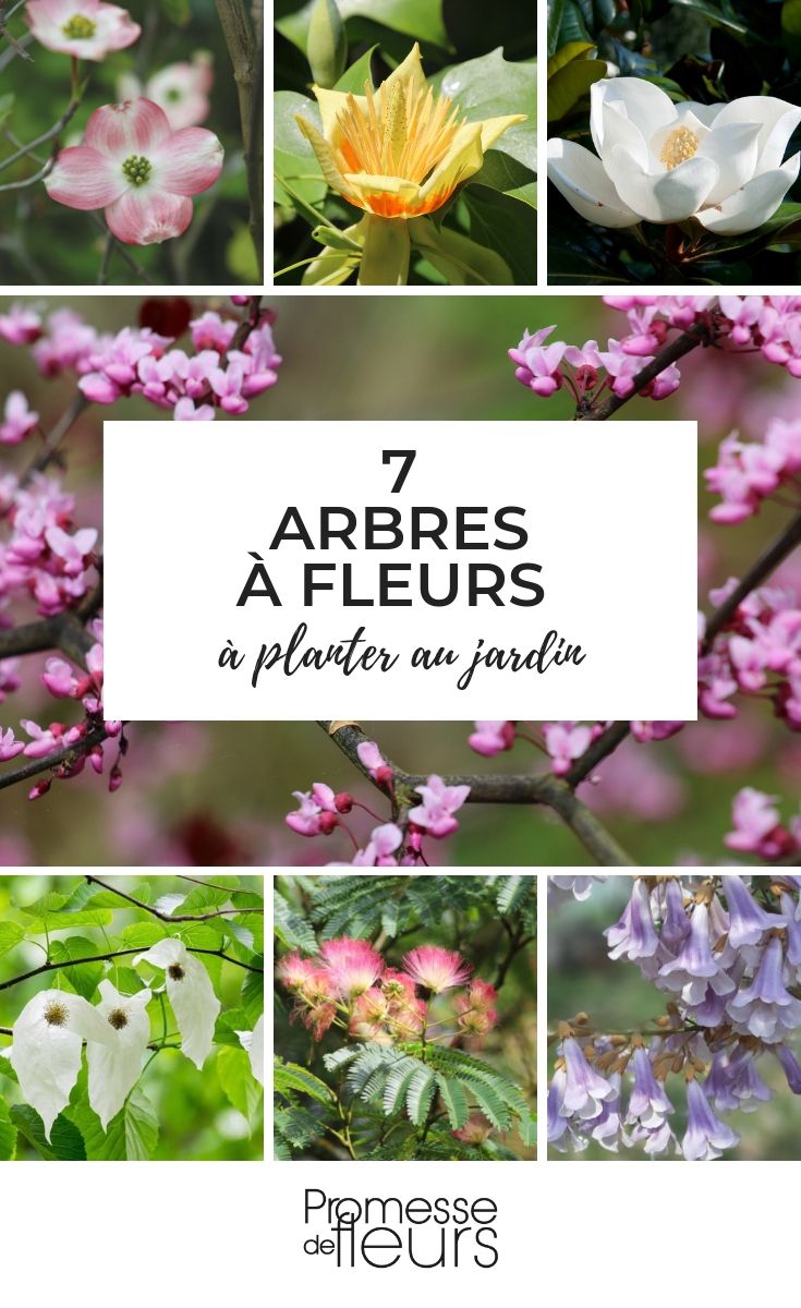 flowering trees