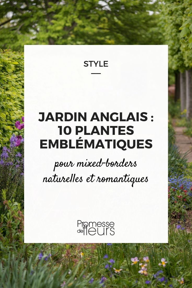 Young Plants for an English Garden