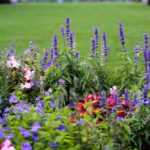 English garden: how to lay it out?