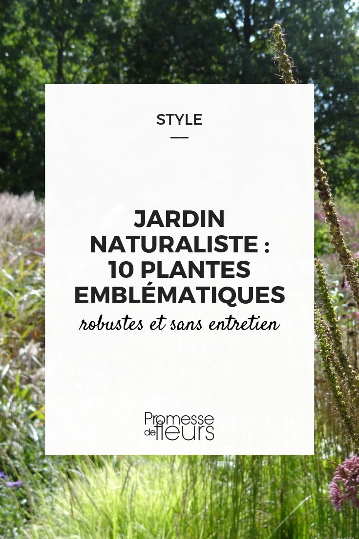 Perennial Plants in Natural and Naturalistic Gardens