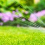 Automatic watering: different systems, which one to choose?