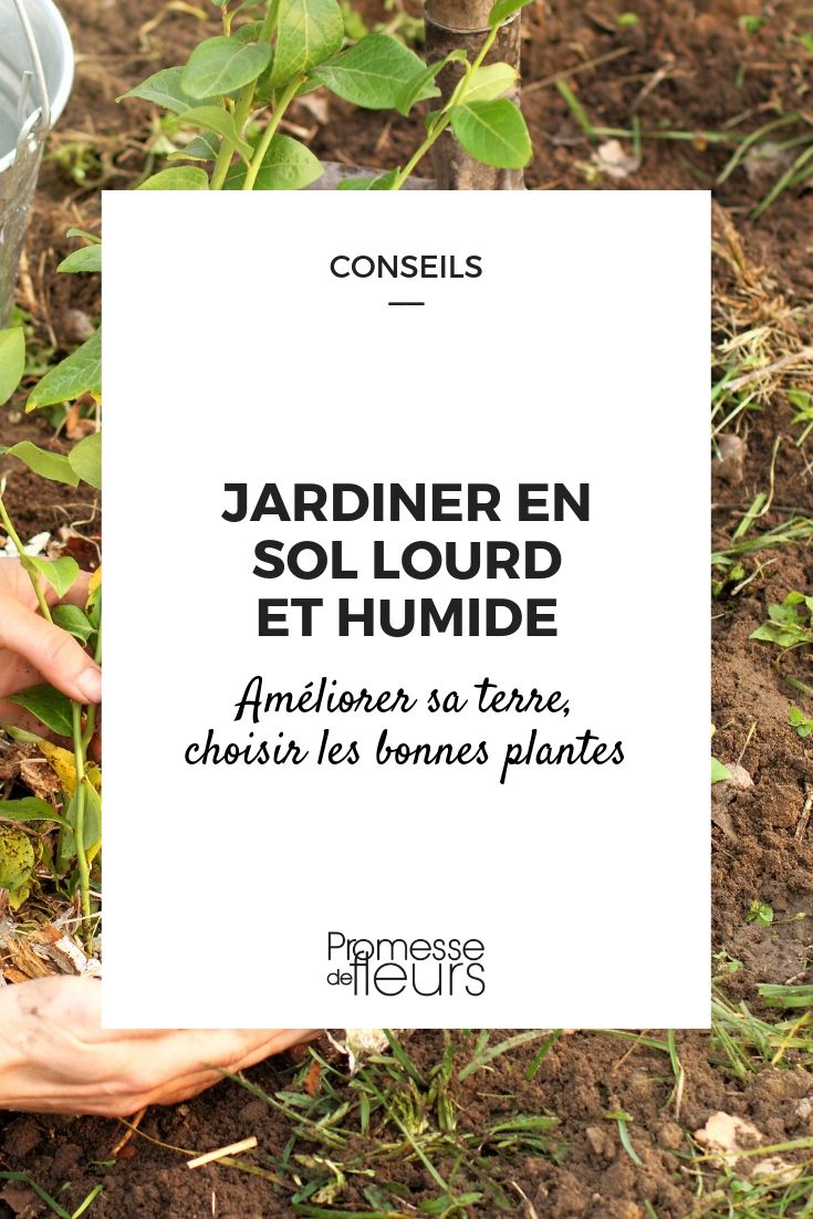 Heavy and Wet Soil in the Garden: Tips