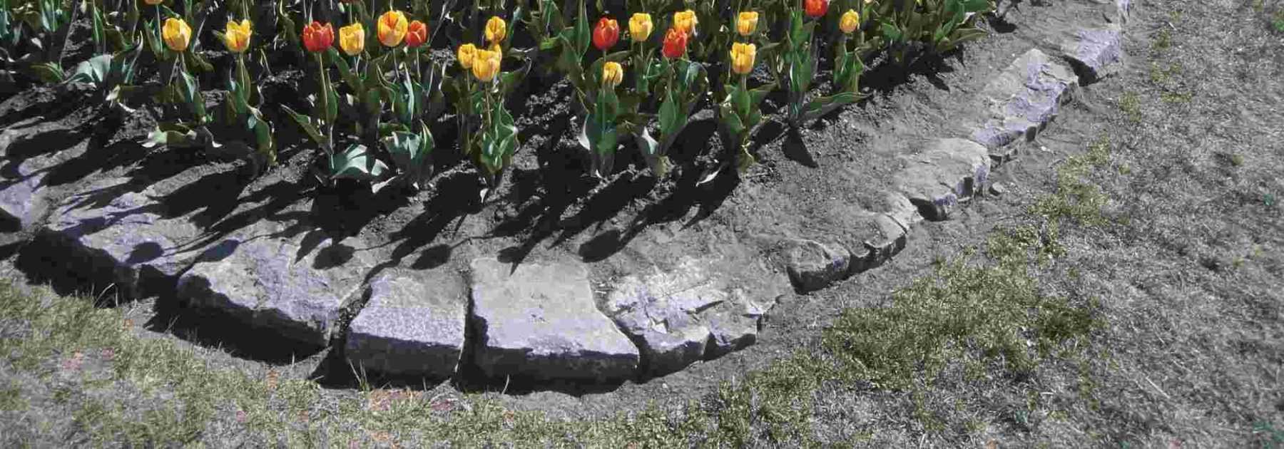 Garden edging: solutions, advantages, disadvantages