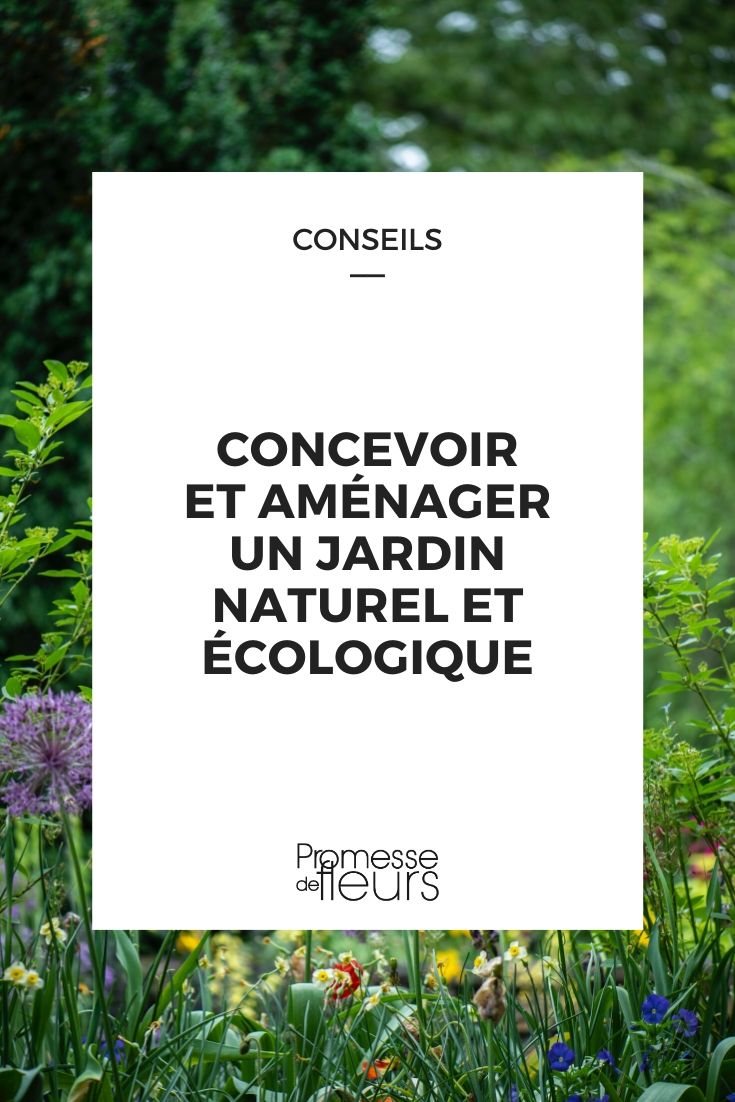 Natural and Ecological Garden: Design, Choice of Plants