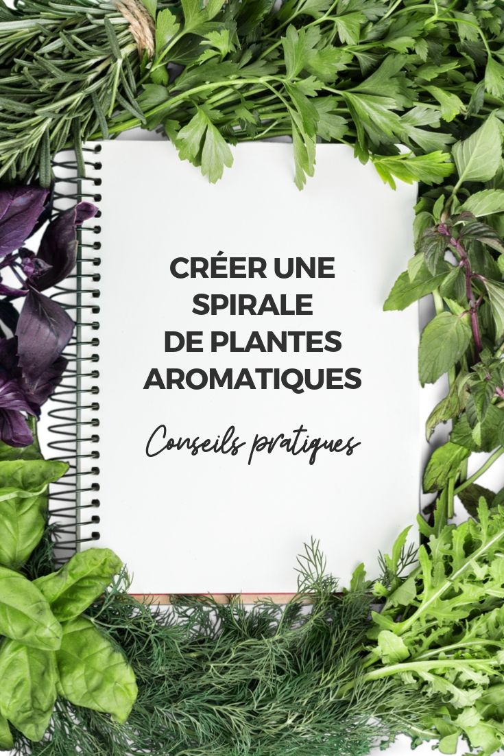 Spiralled Aromatic Plants: Practical Tips