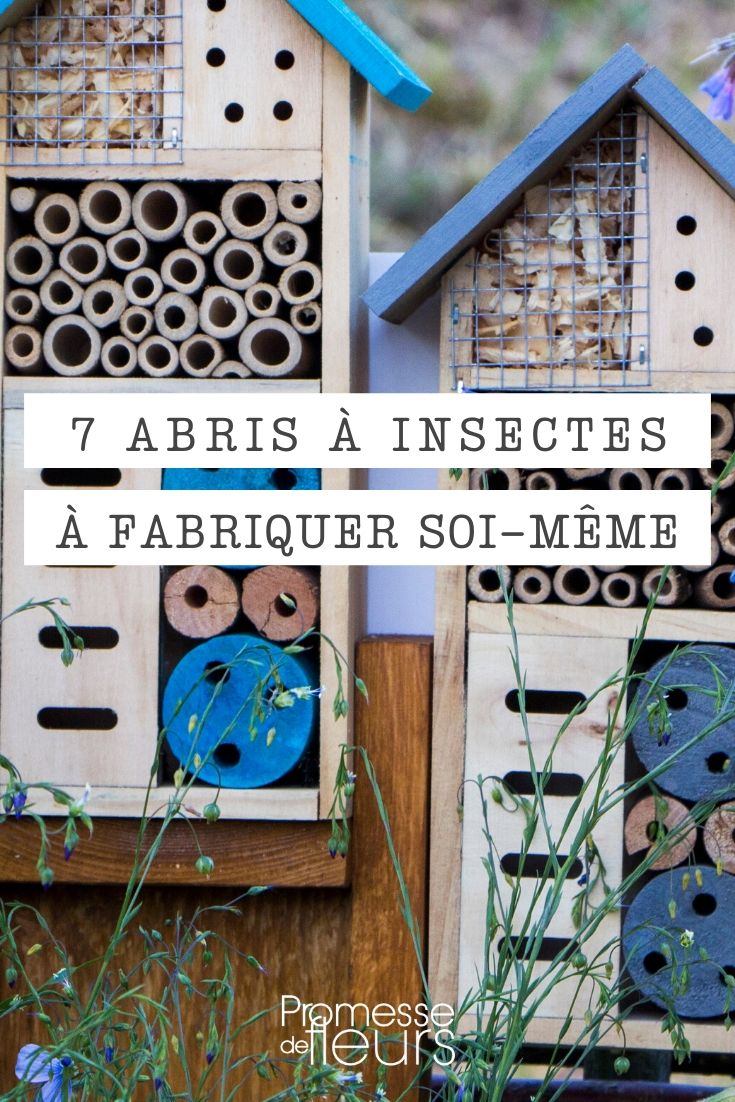 DIY Insect Shelter