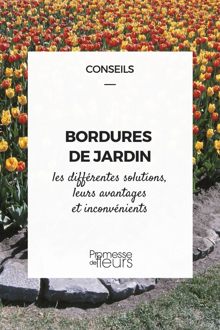 Garden Borders: A Guide to Making the Right Choice