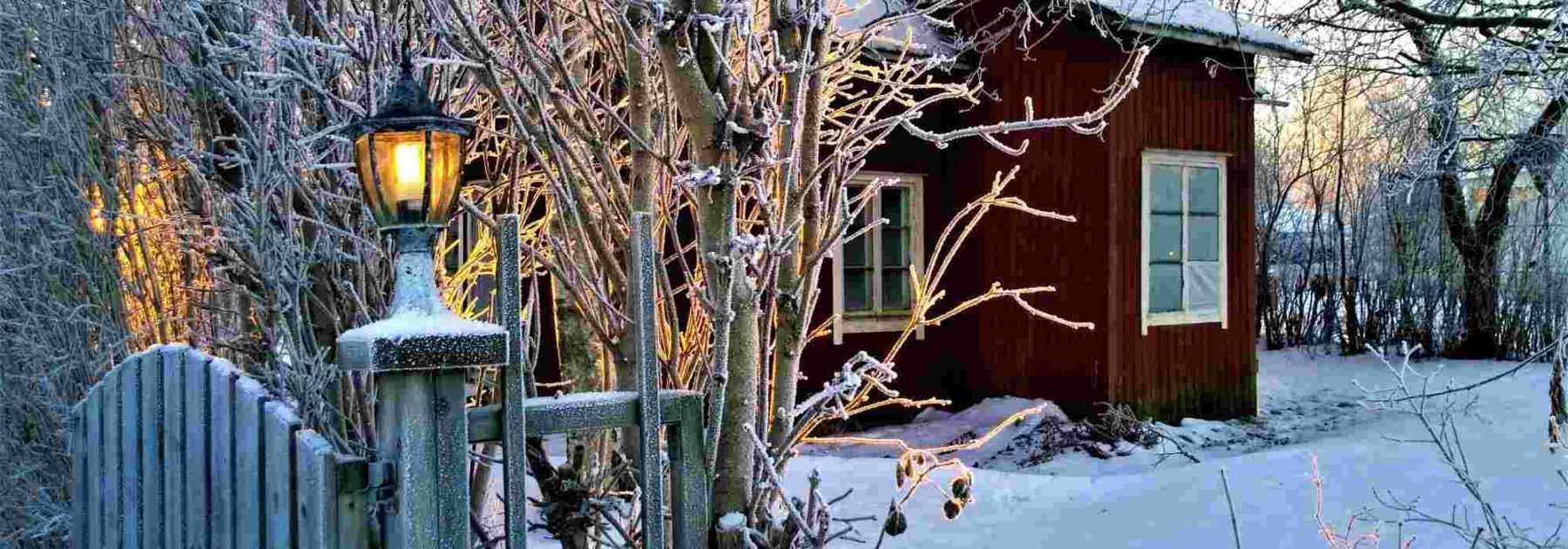 What to do in the garden in winter?