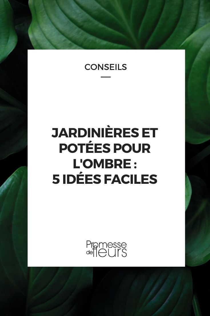 Ideas for Shady Planters