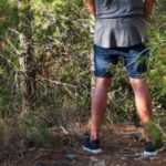 Urine in the garden: such a good idea?