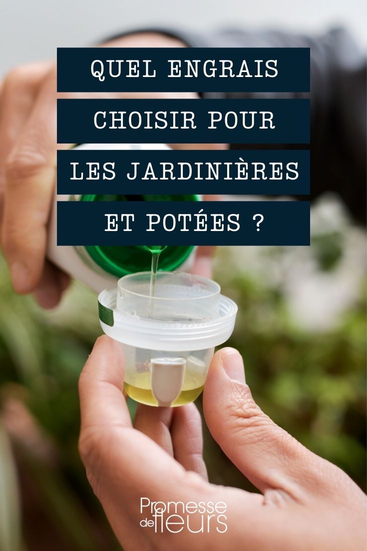 Which Fertiliser to Choose for Your Planters and Potted Plants