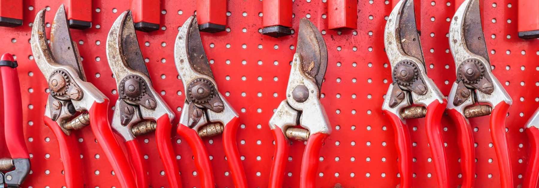 Choosing the right pruning shear