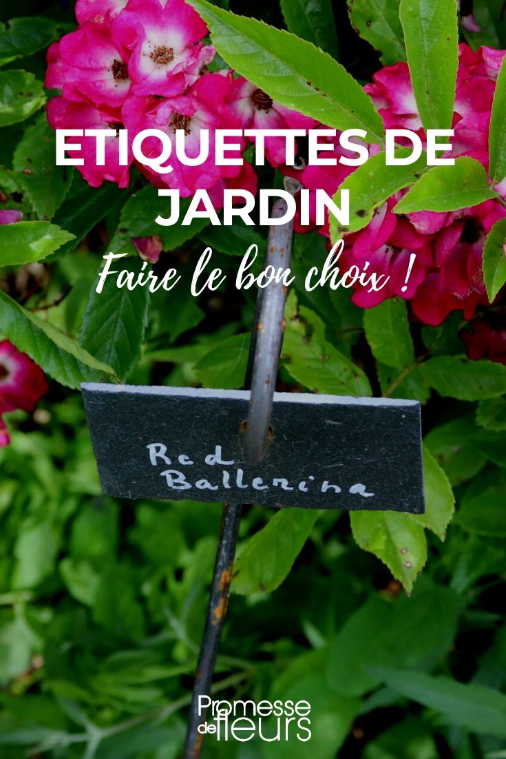 Choosing the Right Garden Labels
