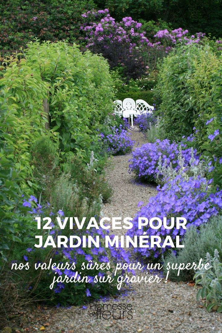 12 Perennials for a Rock Garden Selection of Perennials for a Gravel Garden