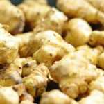 Jerusalem artichoke: planting, harvest, cultivation