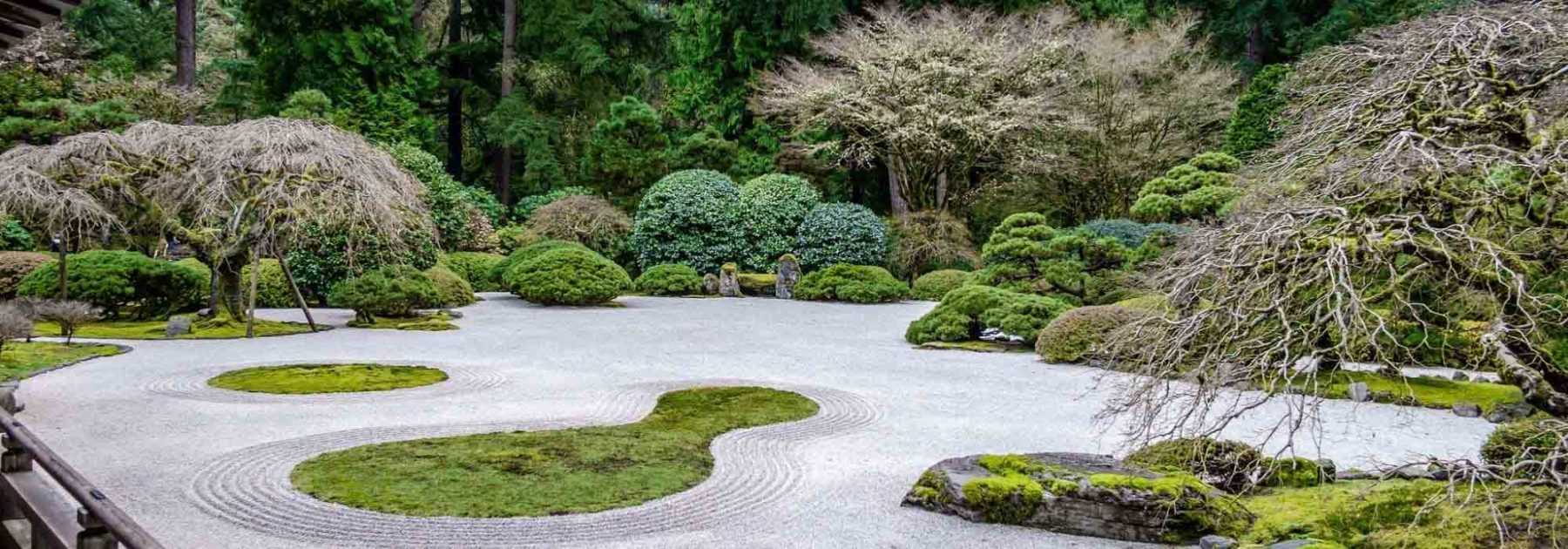 Mineral garden: 7 ideal bushes!