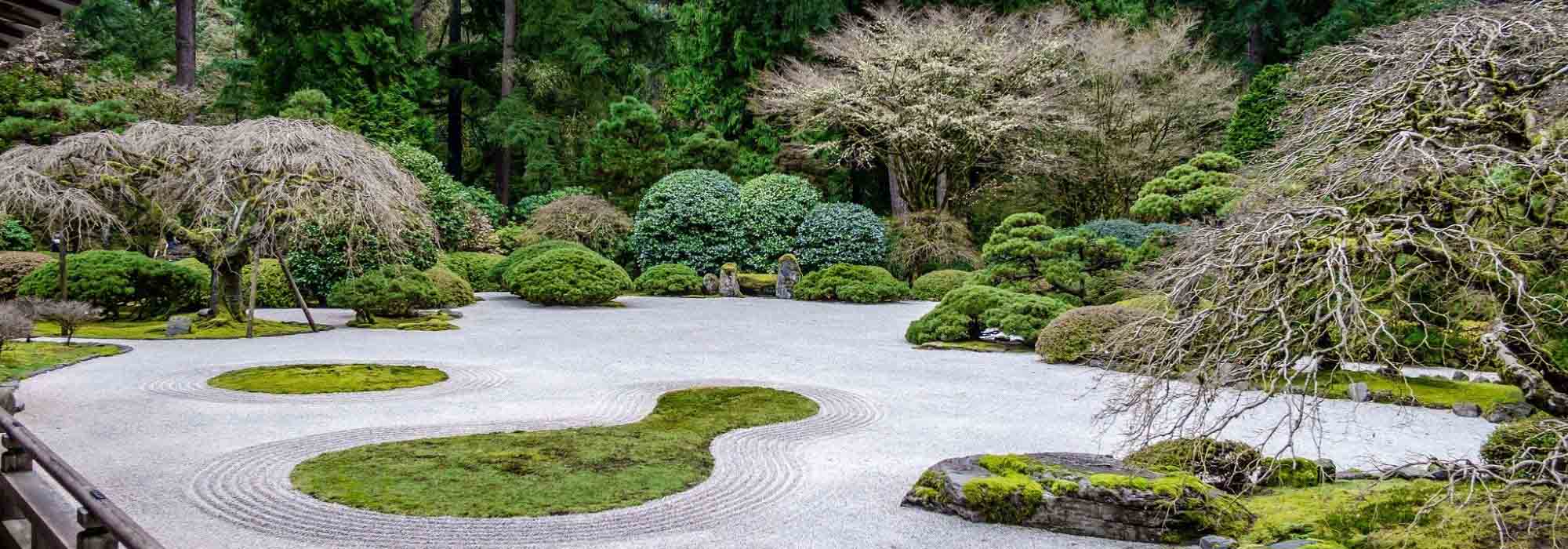 Mineral garden: 7 ideal bushes!