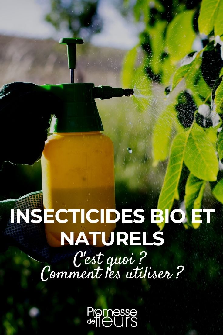 organic insecticidal Organic and Natural Insecticidals