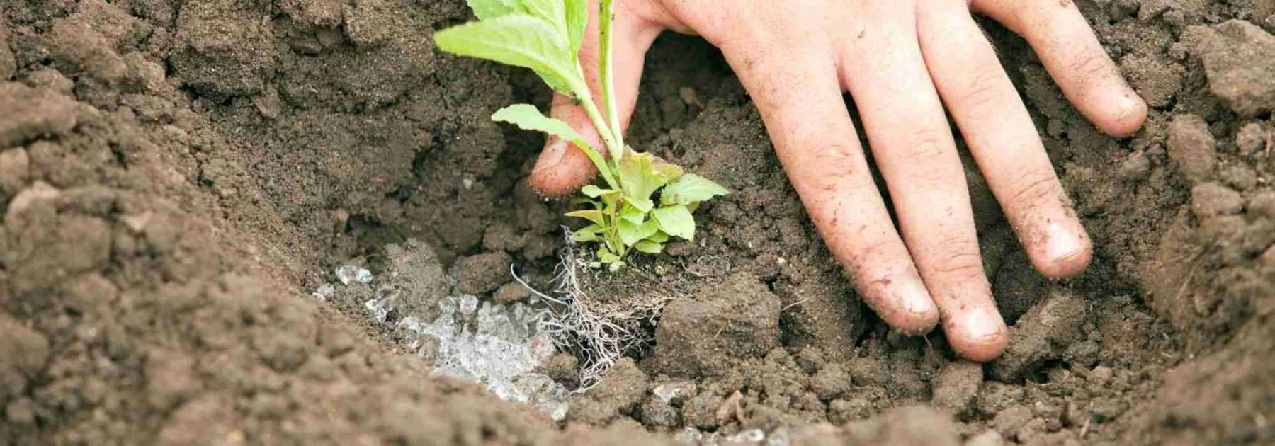 What is a water-retaining agent, what is it used for and how do you use it?