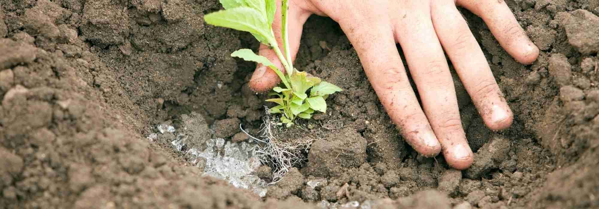 What is a water-retaining agent, what is it used for and how do you use it?